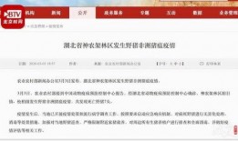 湖北爆料最新新闻消息,聚焦突发事件，揭秘背后真相